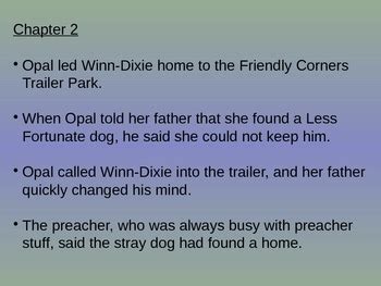 winn dixie summary|because of winn dixie true or false.